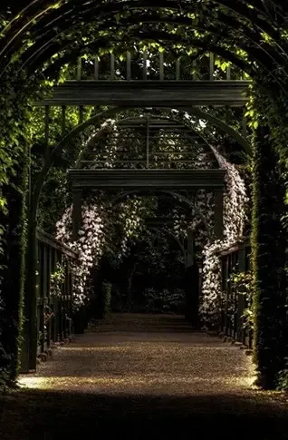 Promotional image for Alice’s Dream at Mind Twist Escape Experience